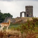 walks bradgate 400