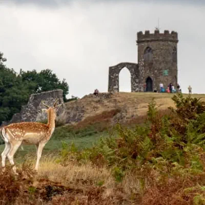 walks bradgate 400