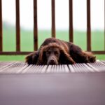 ©robertleverittphotography 8515