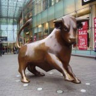 shopping bullring