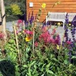 eye kettleby lakes enviromental policy img 2084