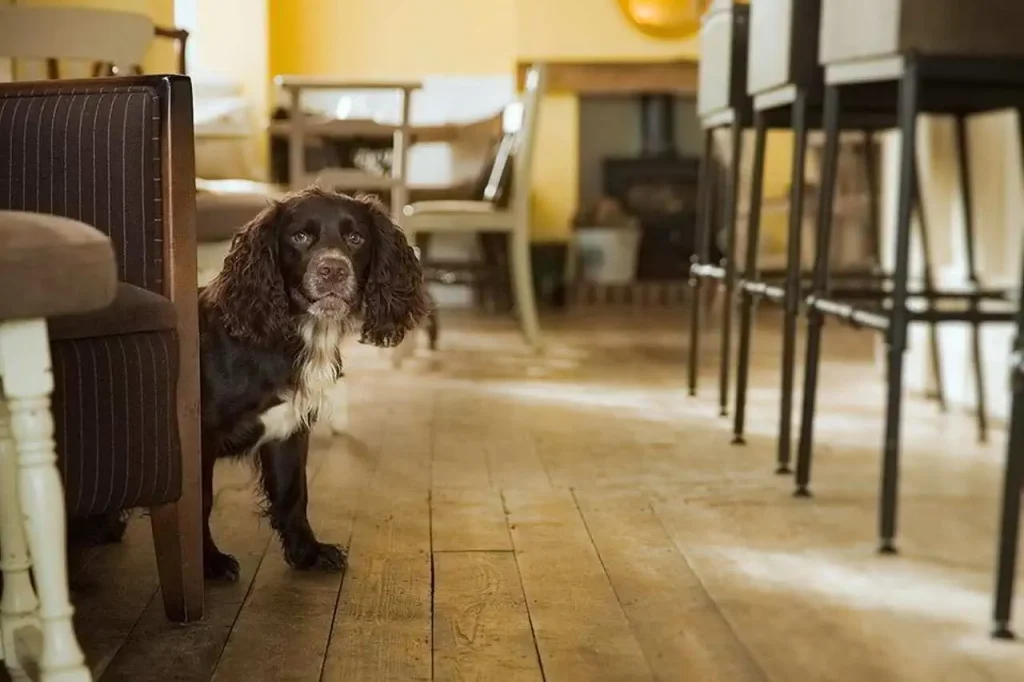 black horse foxton locks lodges featured 1280