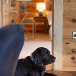 lodge owls nest foxton locks lodges 8117 lodge owls nest foxton locks lodges 8117