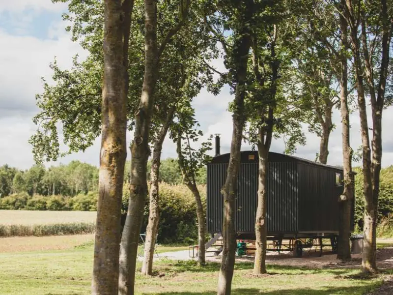 snowdrop shepherds hut foxton locks lodges img 3613 1 800x600