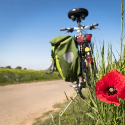 attractions brampton valley way foxton locks lodges 400 pb5178398