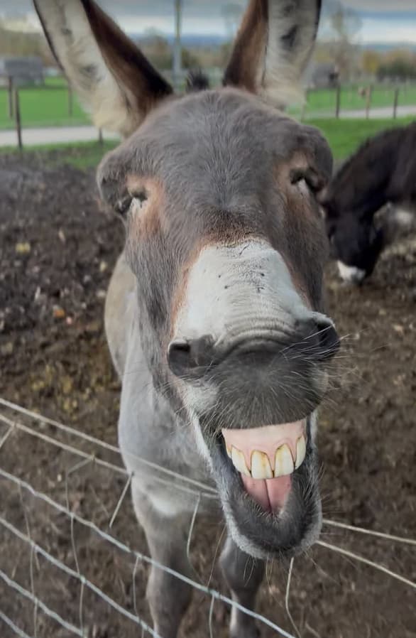 Screenshot 2026 04 20 at 12.06.26